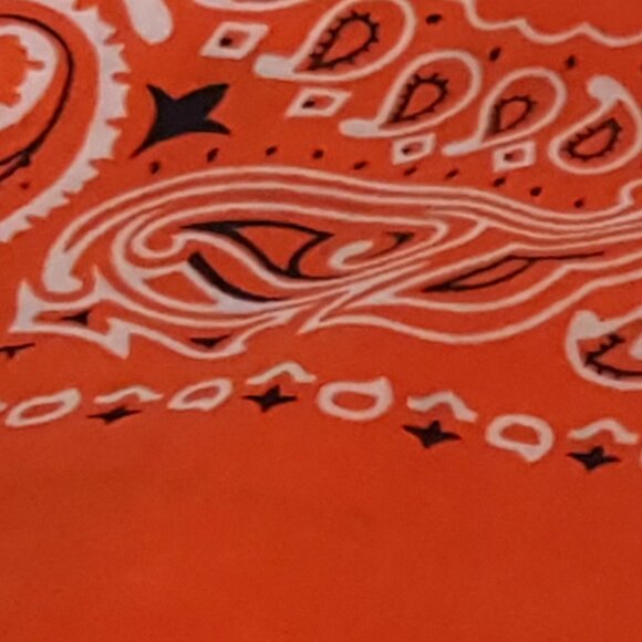 Bandana - Picture 3 of 3